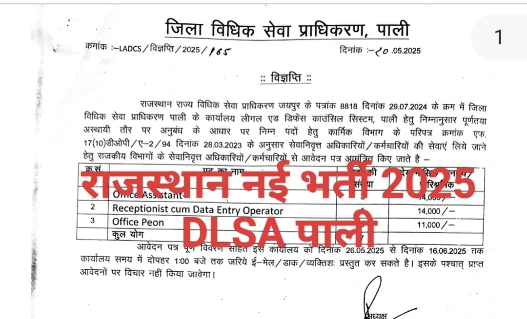 DLSA Pali 2025